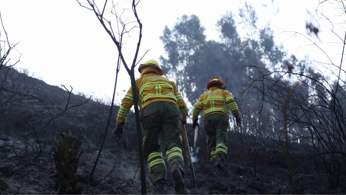 Bomberos de Quito