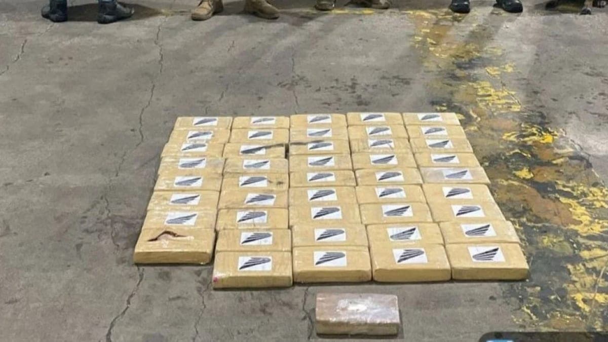 Los Lobos y Los Choneros figuran entre los grupos criminales latinoamericanos con presencia en Europa