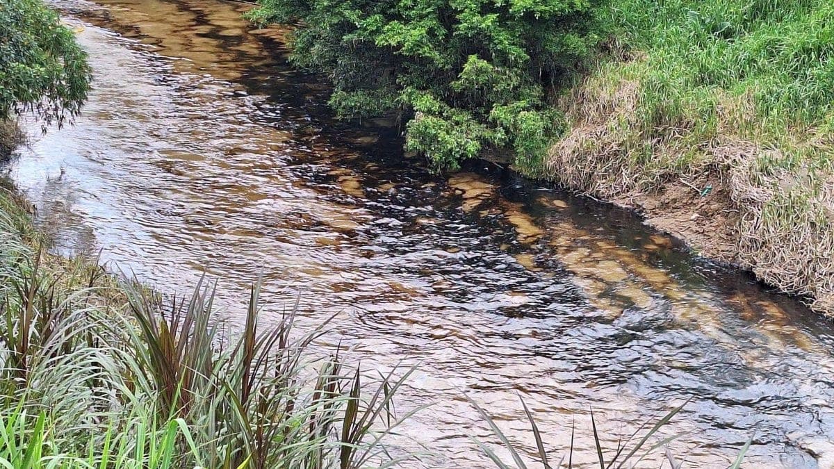 Derrame de crudo contamina el río Cupa en Quinindé