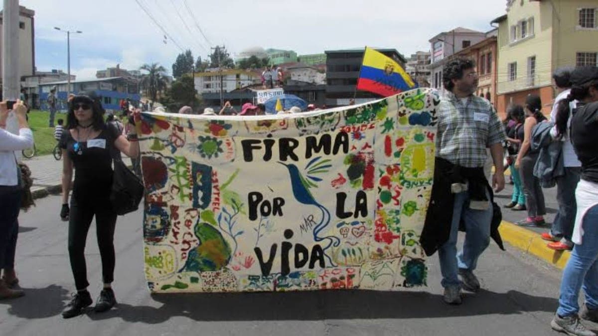 YASunidos anuncia que llevará a instancias internacionales sanciones por consulta del Yasuní